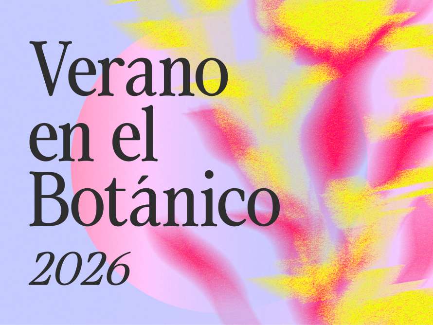 VeranoBotanico26 imagenppal 540x405 1