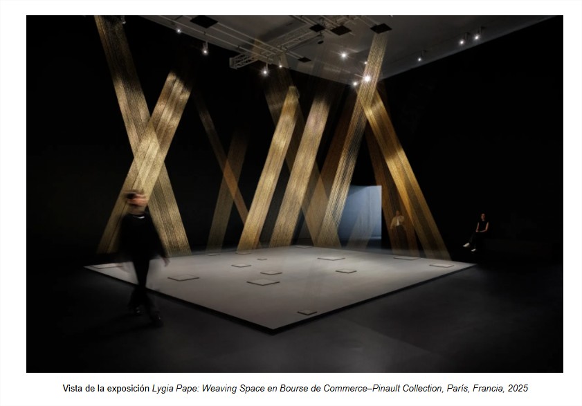 lygia pape