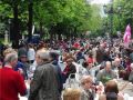 martes de campo7
