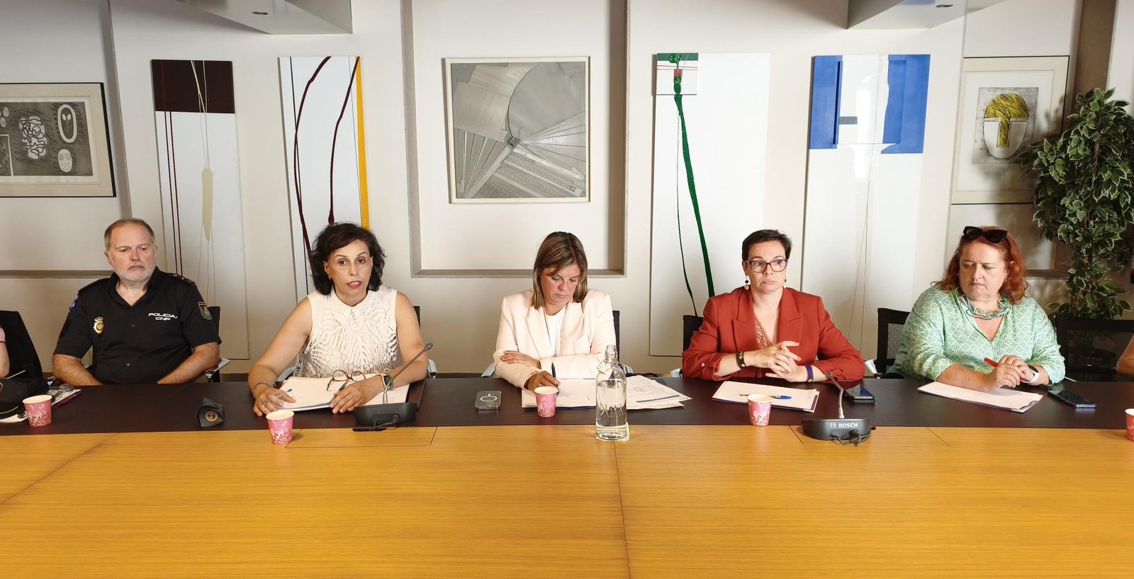 El Observatorio de Violencia sobre las Mujeres analiza la coordinación institucional para mejorar la protección de las víctimas