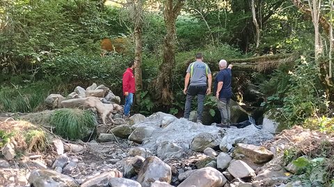 El Principado refuerza la prevención de incendios en la reserva de la biosfera de Muniellos con la mejora de varios senderos