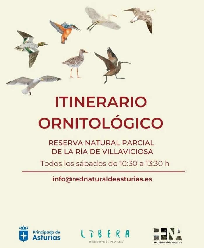 La Red Natural de Asturias organiza salidas guiadas por diferentes espacios naturales contemplando tanto flora como fauna en Asturias